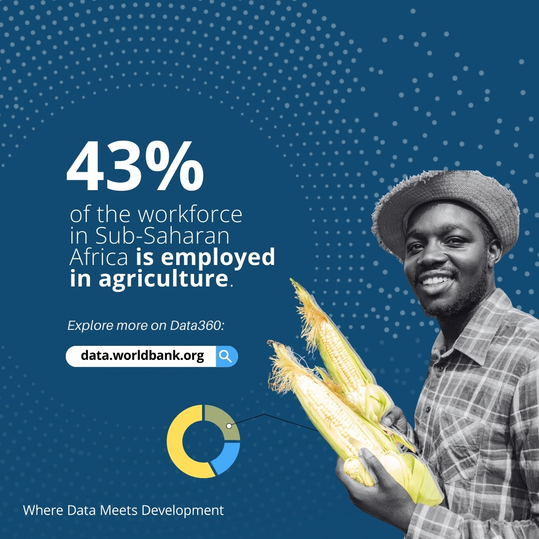 WorldBank's tweet image. Over 43% of the workforce in Sub-Saharan Africa is employed in agriculture. 

How is this sector shaping the region&apos;s economy?

With #Data360, explore trends and create custom reports—all with just a few clicks.

Dive in: wrld.bg/AxF150W9hSE