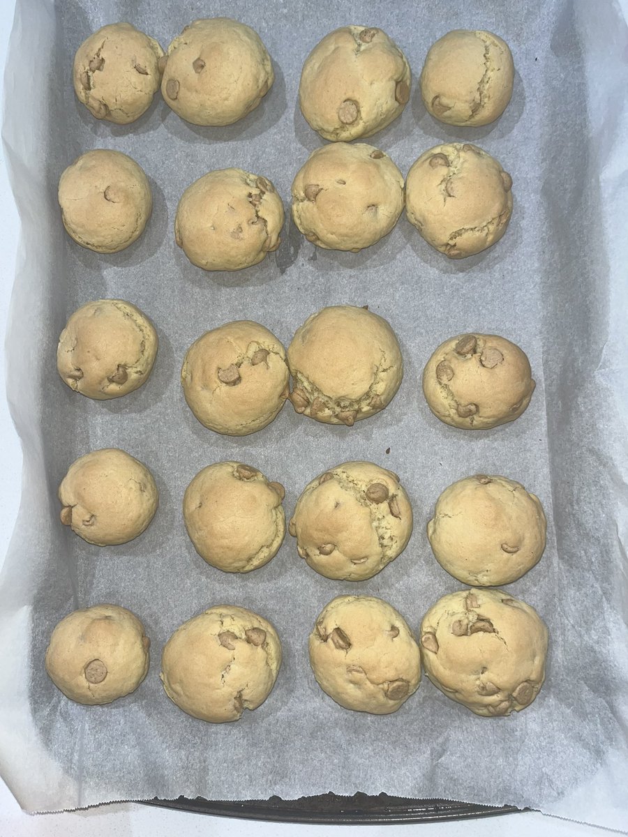 peanut butter chocolate chip cookies 😛