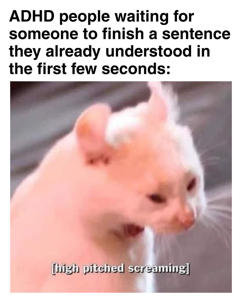 adhdcatmemes's tweet photo. #adhd #cat #memes https://t.co/UPy6LUwOIg
