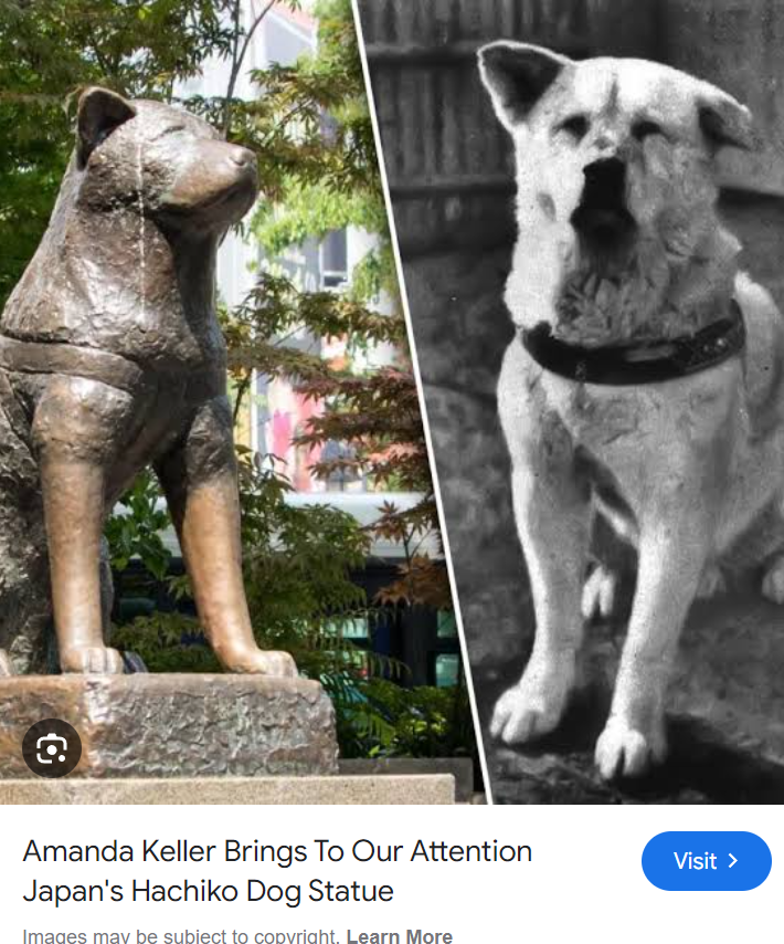 ❤️💛💚💙

Study friendship.

Study loyalty.

Study Hachiko waiting for his owner to come for 9 years after he passed away.

They made a statue of Hachiko.

Eternally Long on BELIEF.

Crypto rewards Believers.