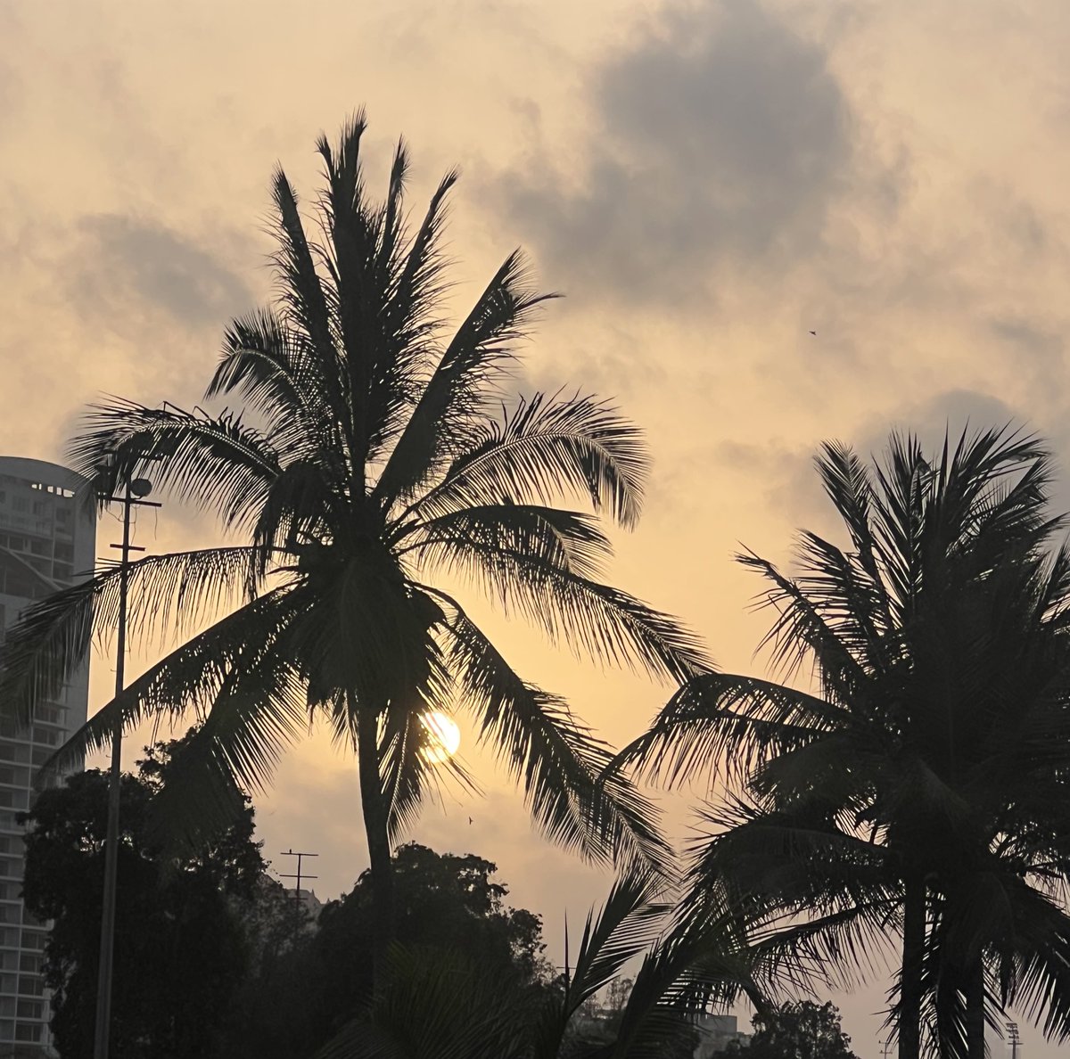 Fjay_99's tweet image. Karachi Aur June….🏝️🌅

#karachi  #summer #sunset