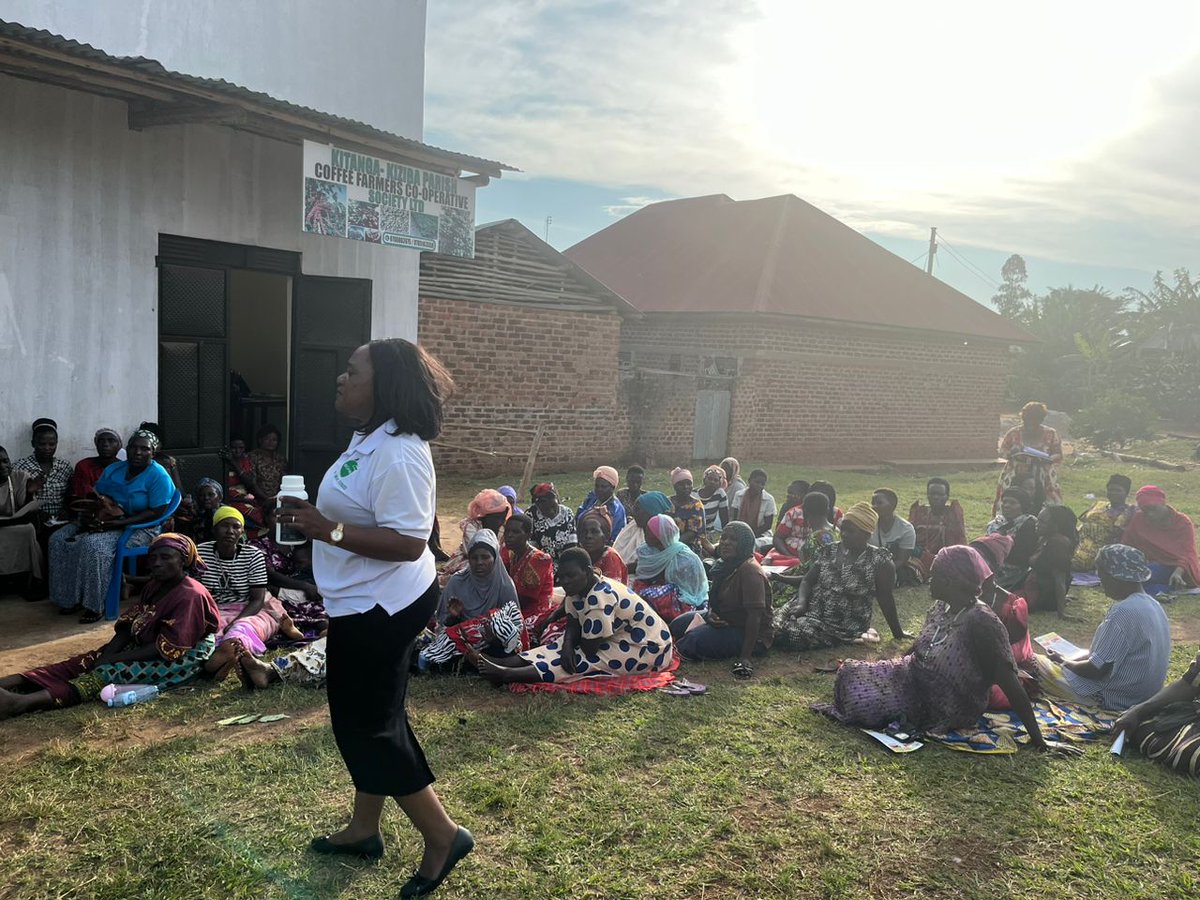 biofarm_UG's tweet photo. Educating farmers. Growing futures 🌿

At Kitanda Coffee Farmers’ Cooperative (Masaka, Kitanga), we introduced Biofarm’s benefits for soil, yield, and sustainability.

#Biofarm #UnodeAgro #2025Projects #SmartFarming #UgandaFarms #CoffeeFarming https://t.co/xkqQfpeTJn