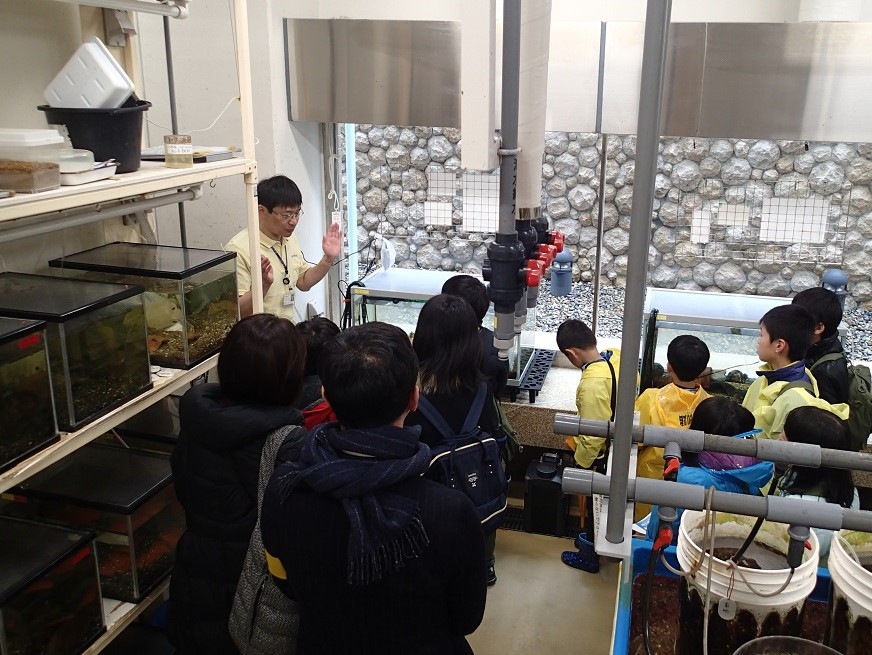 千葉県立中央博物館分館海の博物館 tweet media