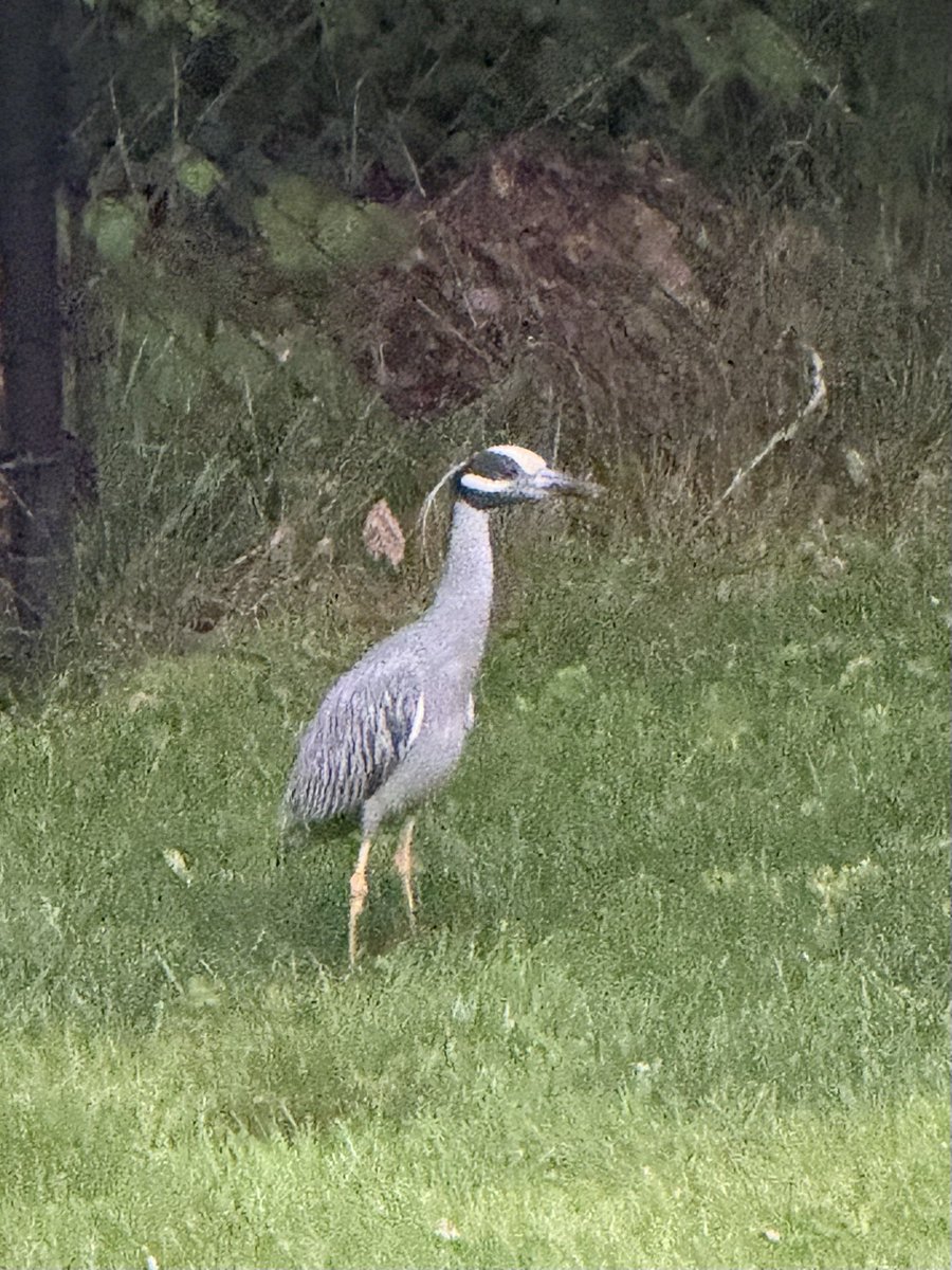 JasonFromCT's tweet image. 