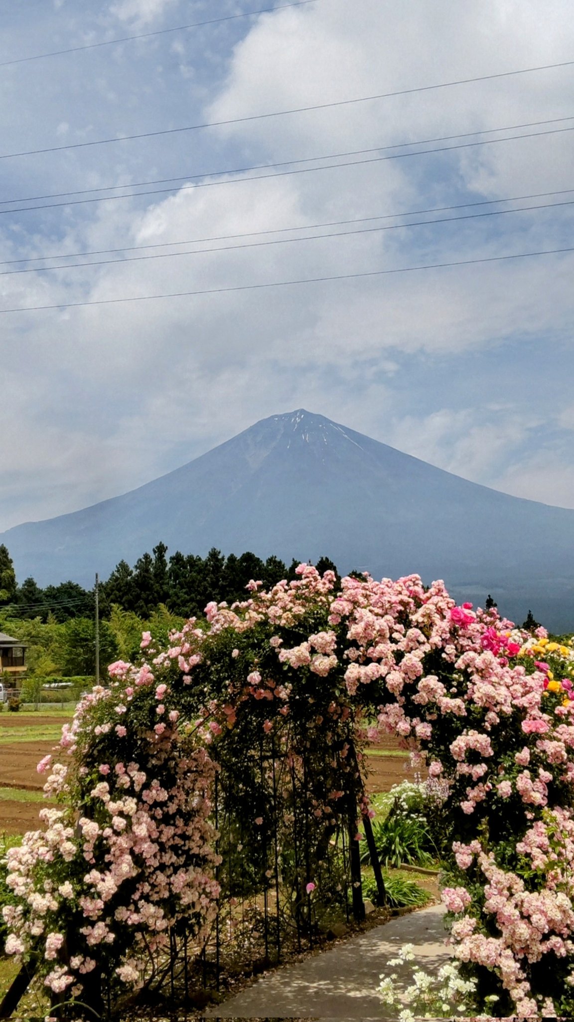 いつも心に富士山を on X: 