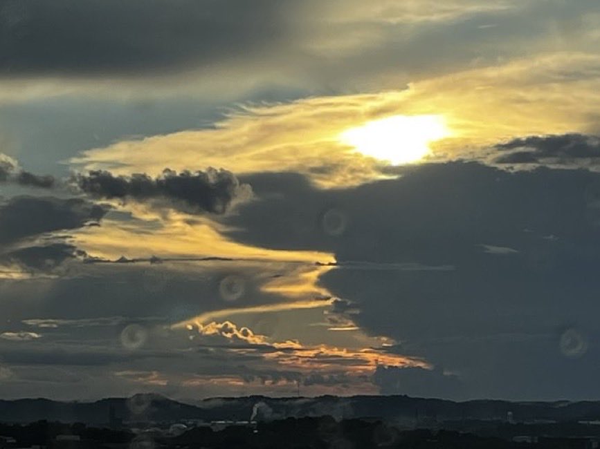 Carol M. Swain, PhD tweet media