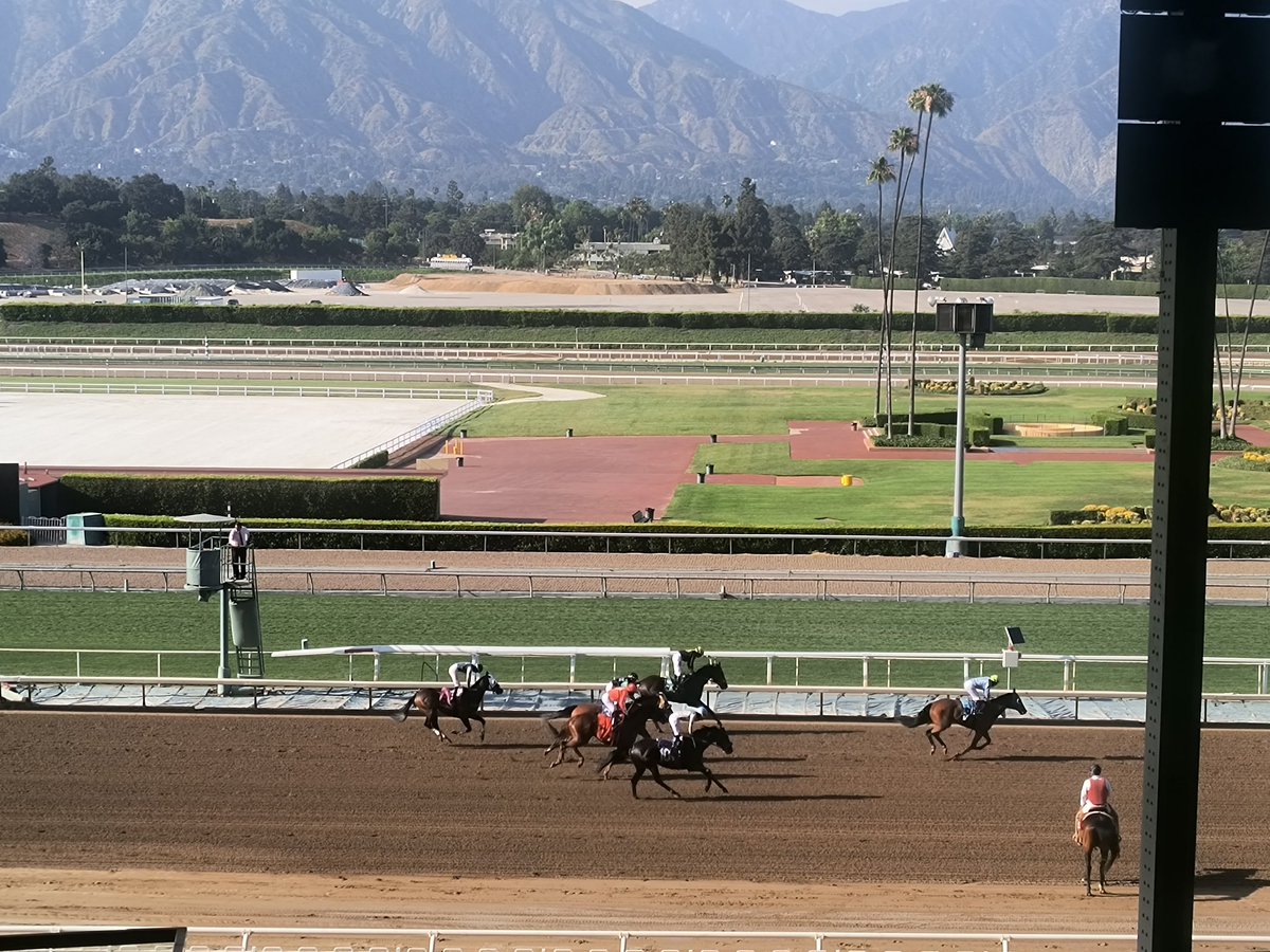 Goodbye Santa Anita until the fall. Hello 👋🏽 del Mar 😎🐎🏄🏽