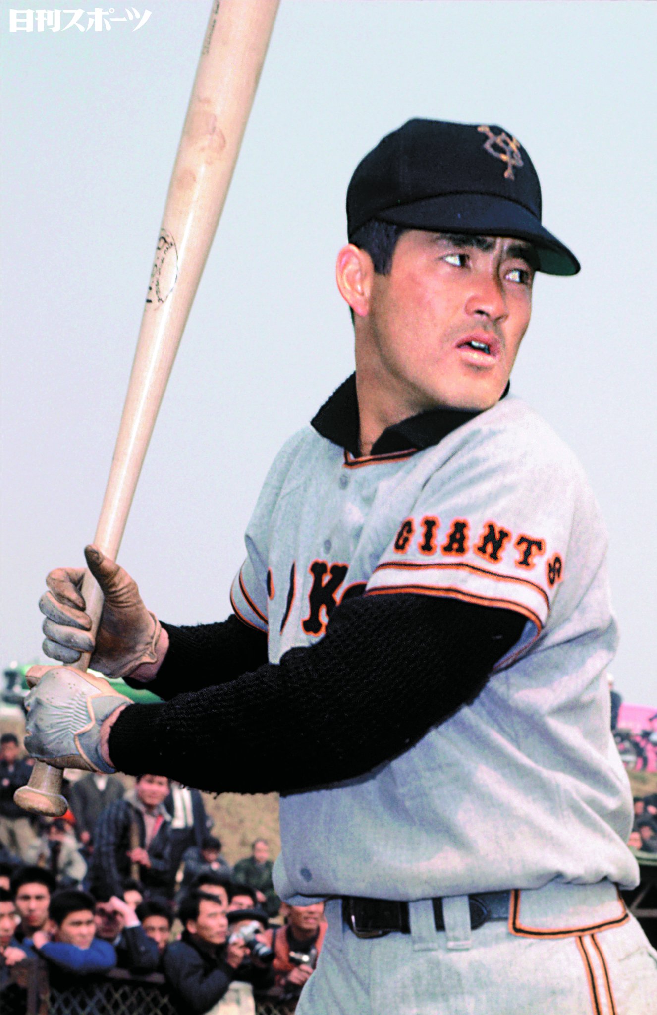 GIANTSジャイアンツ長嶋茂雄日刊スポーツパネル 読売ジャイアンツ 長嶋茂雄 特大パネル #3｜Yahoo!フリマ（旧