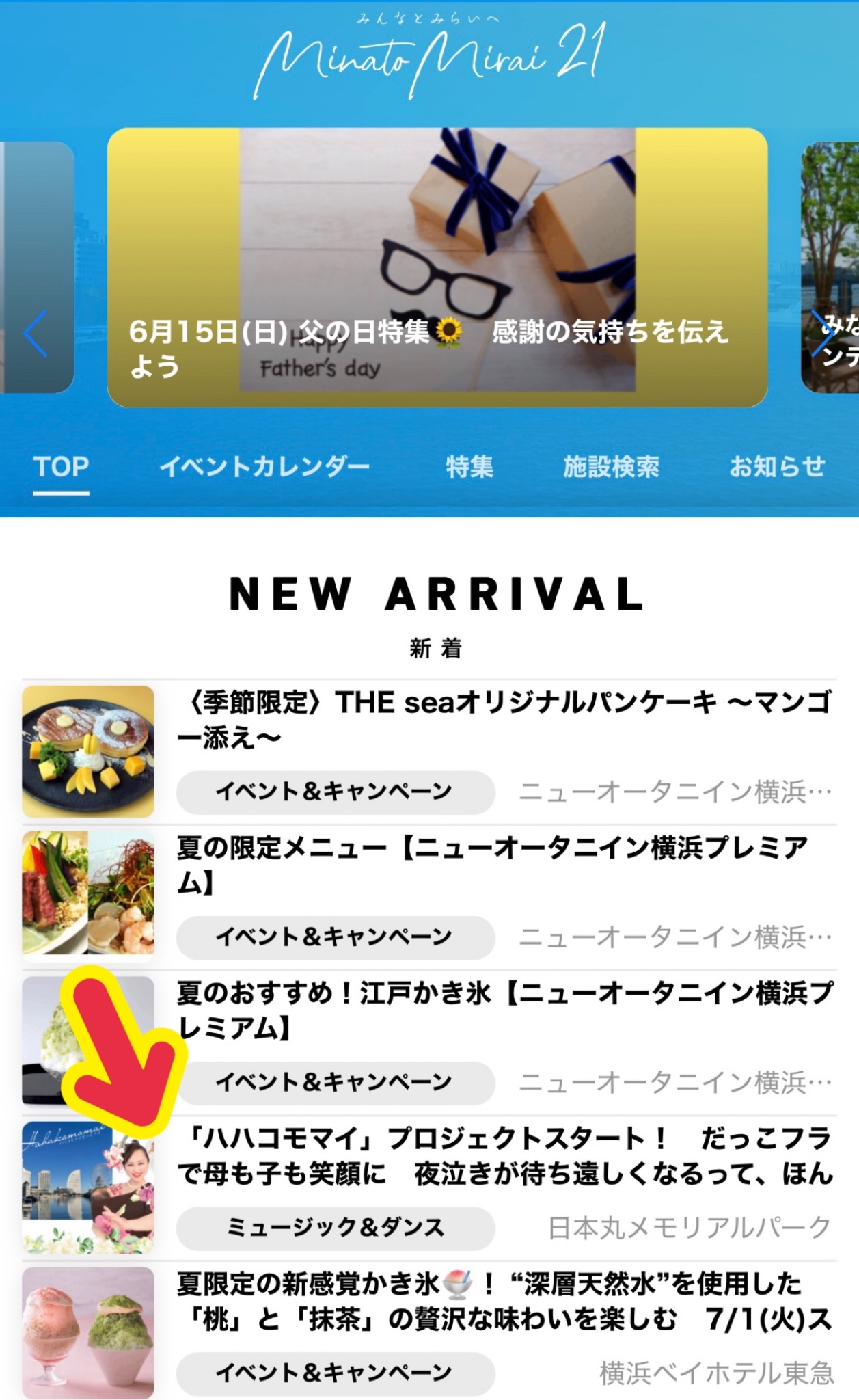 みーままさん専用 みにままさん専用民芸調タンス3 歌の