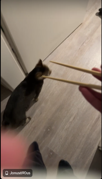 das war ja klar <a href="/JonusBonus79/">𝓙𝓸𝓷𝓾𝓼𝓑𝓸𝓷𝓾𝓼</a>