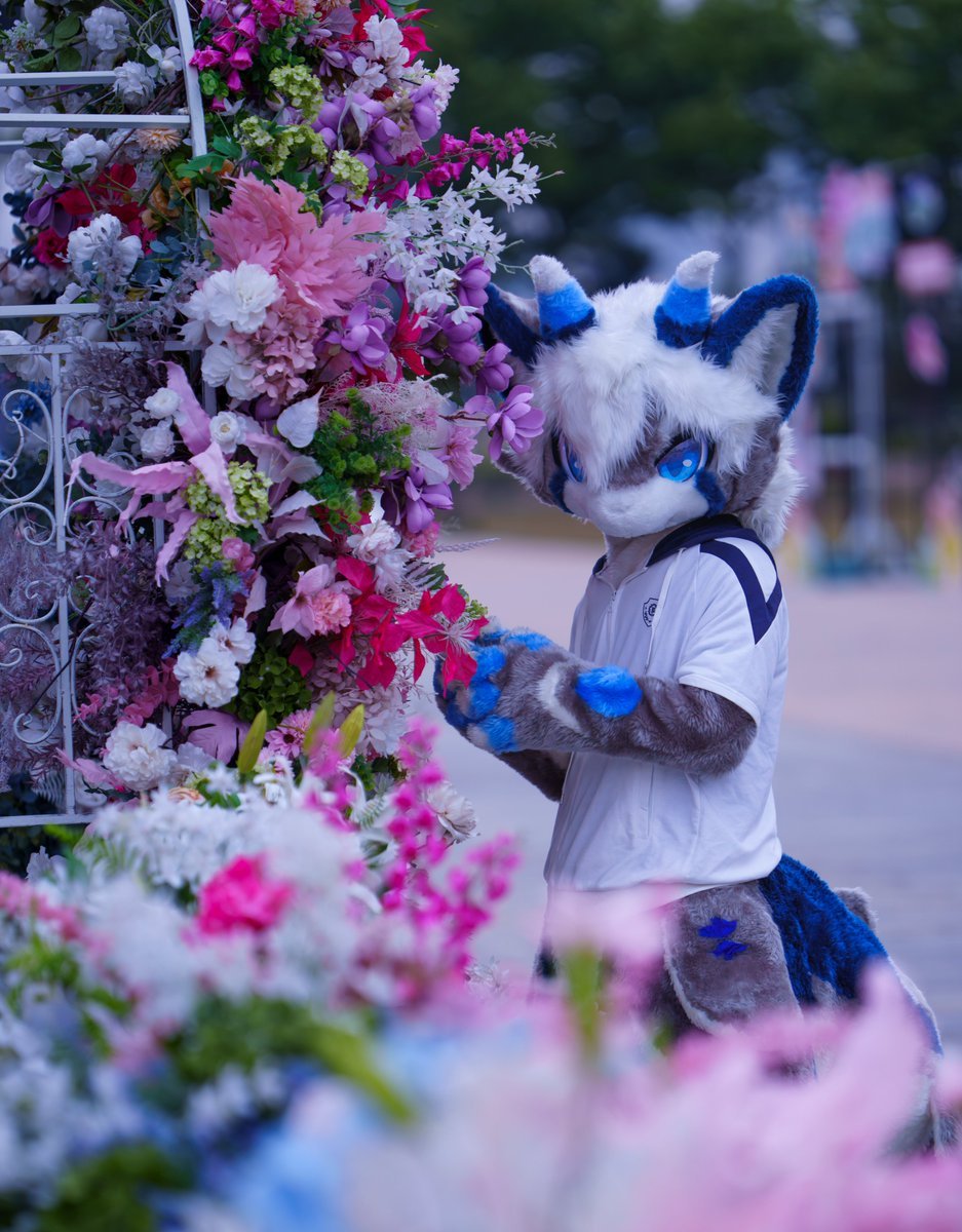 花言葉

📷：<a href="/FasLigand96/">Nephox</a>