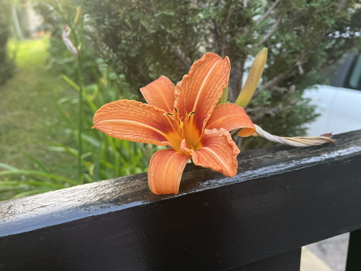 𓇼 (@hazedjasper) on Twitter photo 