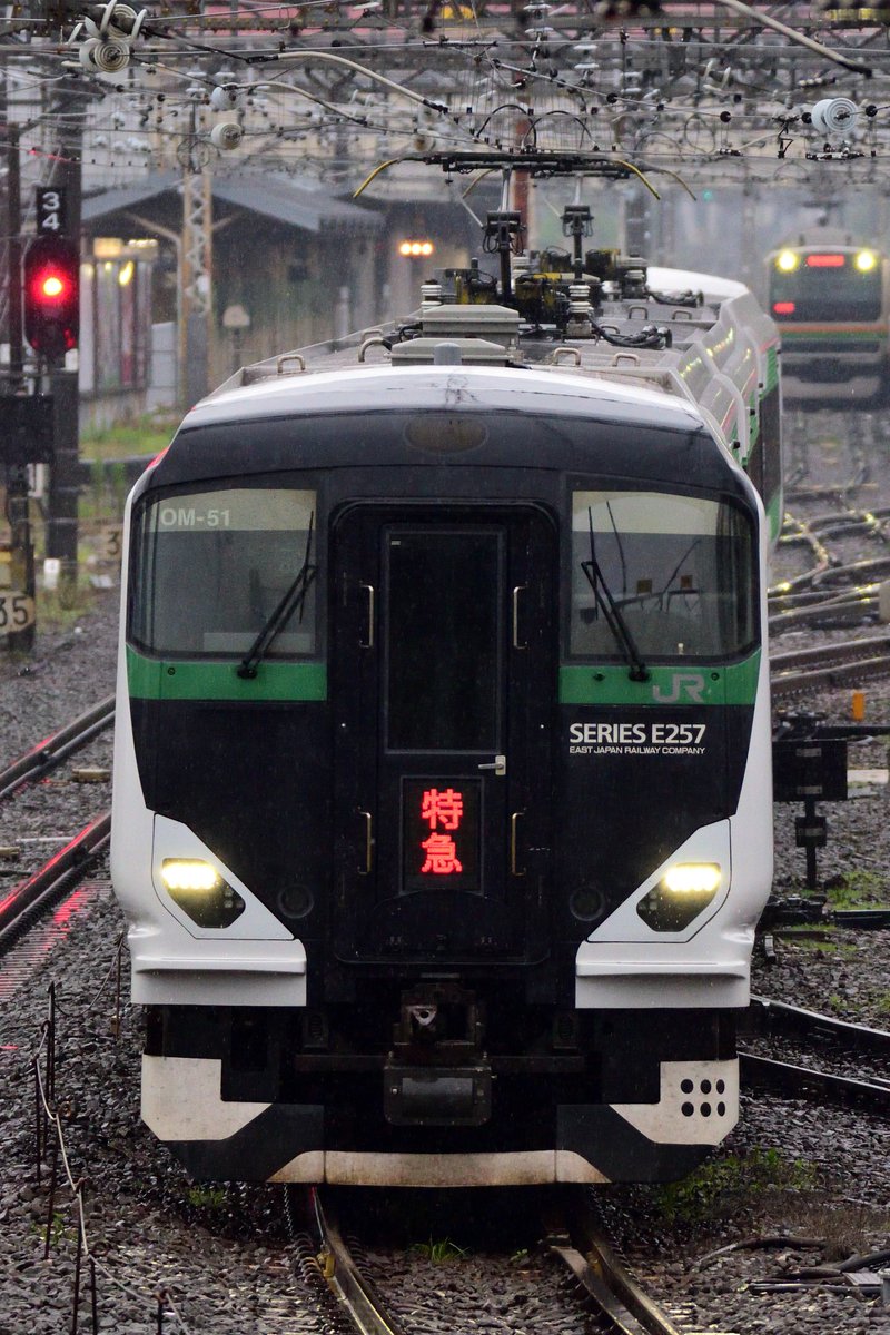 64honnaka's tweet photo. 6/14
9824M？
貸切列車で行くあじさいの古都鎌倉ぶらり旅
OM-93編成
3004M
特急草津・四万4号
OM-54編成
9076M
臨時特急谷川岳ループ
OM-51編成
9032M？
臨時列車(越後湯沢発上野行)
E655系和
雨の中お会いした皆様お疲れ様でした https://t.co/SKnOEvP9Th