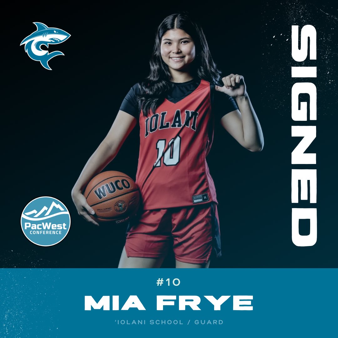 HPUSHARKSWBB's tweet image. Introducing a couple more of our new Sharks!
#gosharks🦈