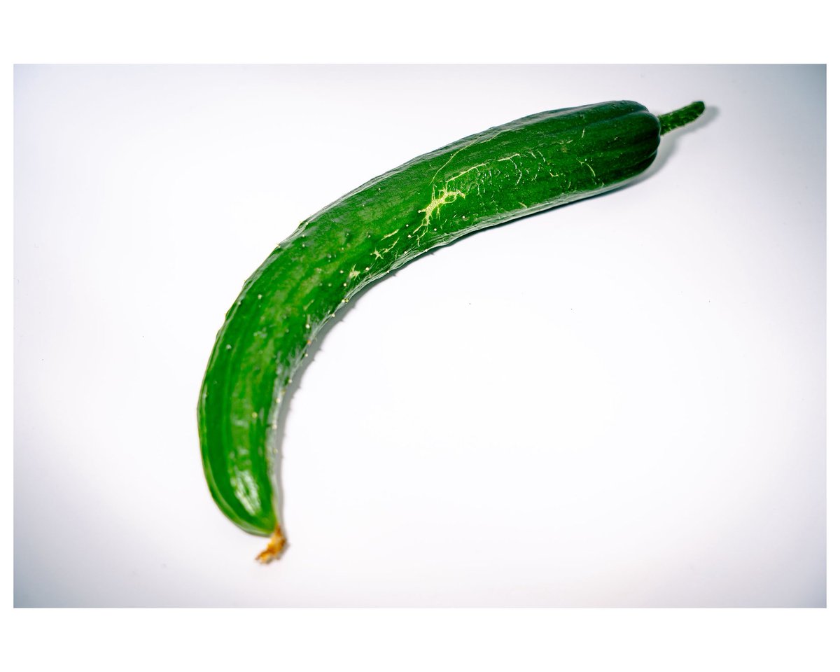 cameralenstalk's tweet photo. 家庭菜園で育てているお野菜たちが採れるようになってきた。
今年はお野菜の写真を撮るのが目標です🍅

#PhotographyLovers
#PhotoOfTheDay
#InstaPhotography
#NaturePhotography
#野菜 
#ExploreWithCamera 
#家庭菜園 https://t.co/VQXQRpKo73