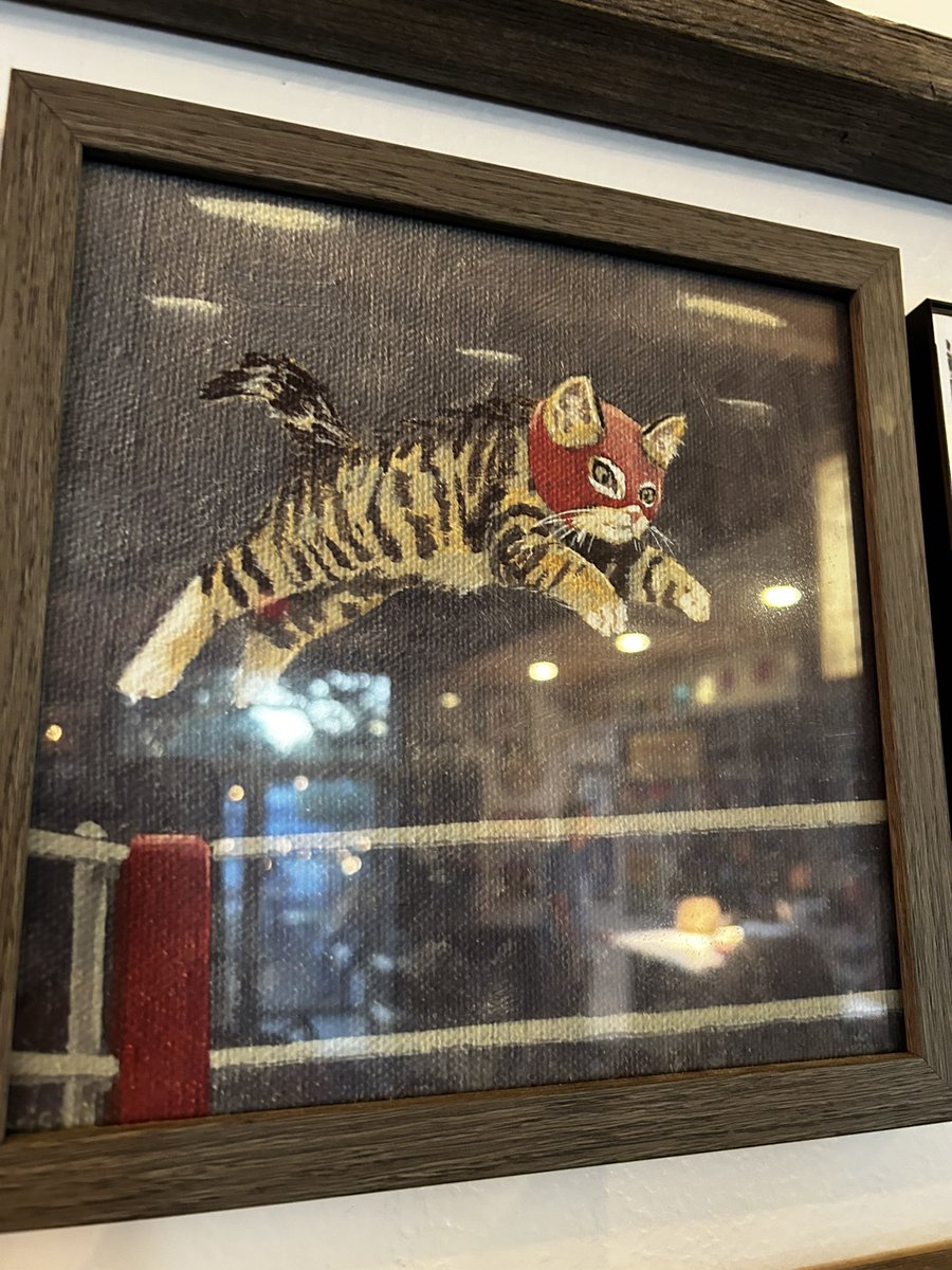 Lucha is everywhere, you just need to look.