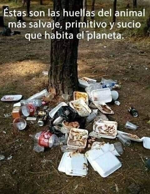 👇👇👇
