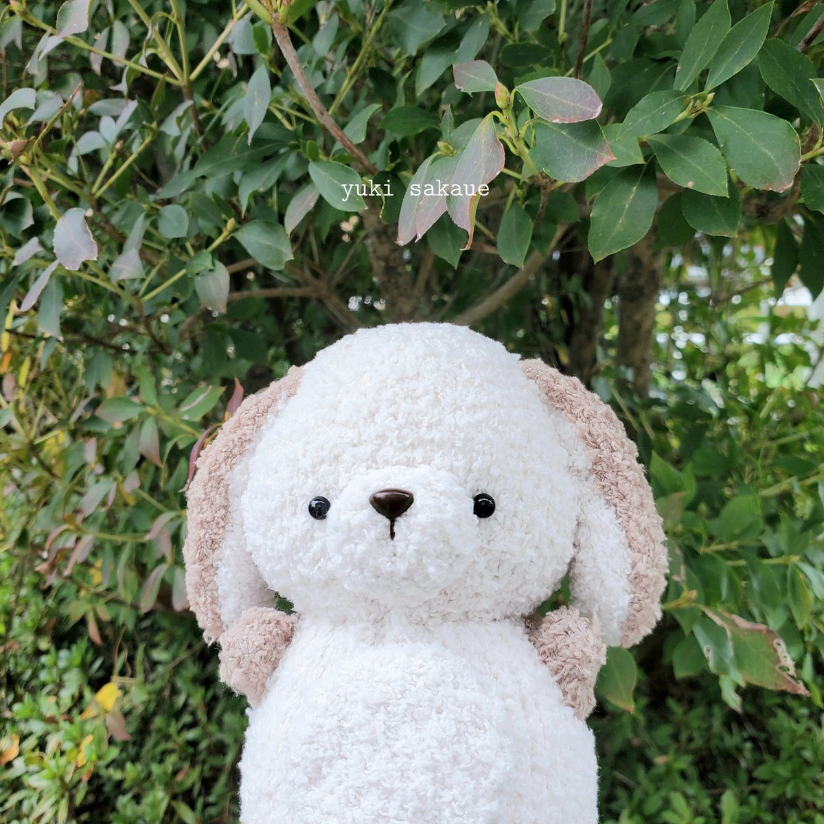 風がきもちいいね(°´ ˘ `°)♡〃𓂃 𓈒𓏸

#ぬいぐるみ