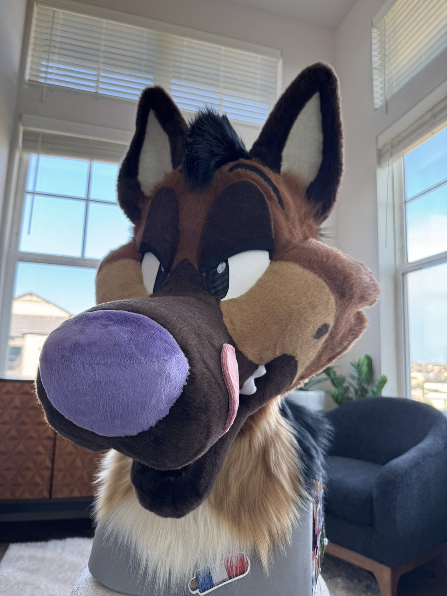 Rocket_Pup_Prod's tweet image. The lad! The fella!! The silly!!!
Premade shep is finally complete! 🤩
$3,500 flat price with payment plans available, please message my telegram at RocketPupProductions if you are interested 👀
Shares are super appreciated as well, thanks! 💕