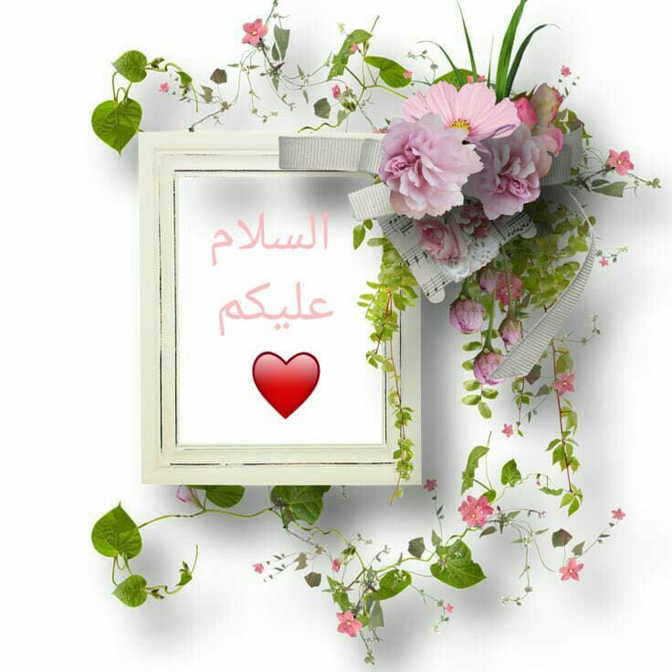 ‏🖤#مـــــManoـــــانو🖤 tweet media