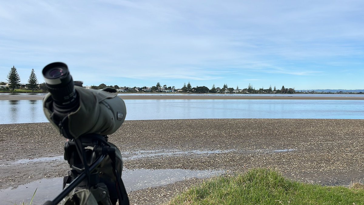 Jess Archer tweet media