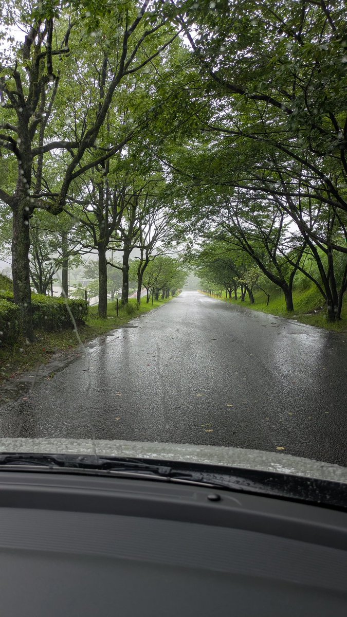 雨。ザァーザァー⛈️
いつものところっぱ。
