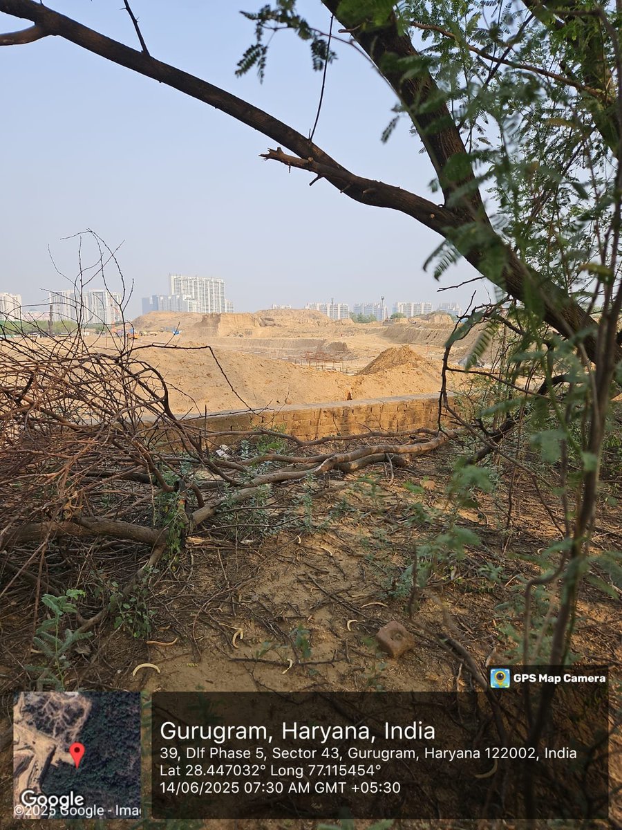 AravalliBachao's tweet image. Get inside d forest,kill it 2 build lxry Apts &amp;amp; sell them for crores,with &quot;view of the forest&quot;. Irony.Plan being facilitated by officials.Reason Y wtr sources r prpsly being dried.No water,no wildlife=no challenge 2 the plan. @cmohry @RaoNarbir