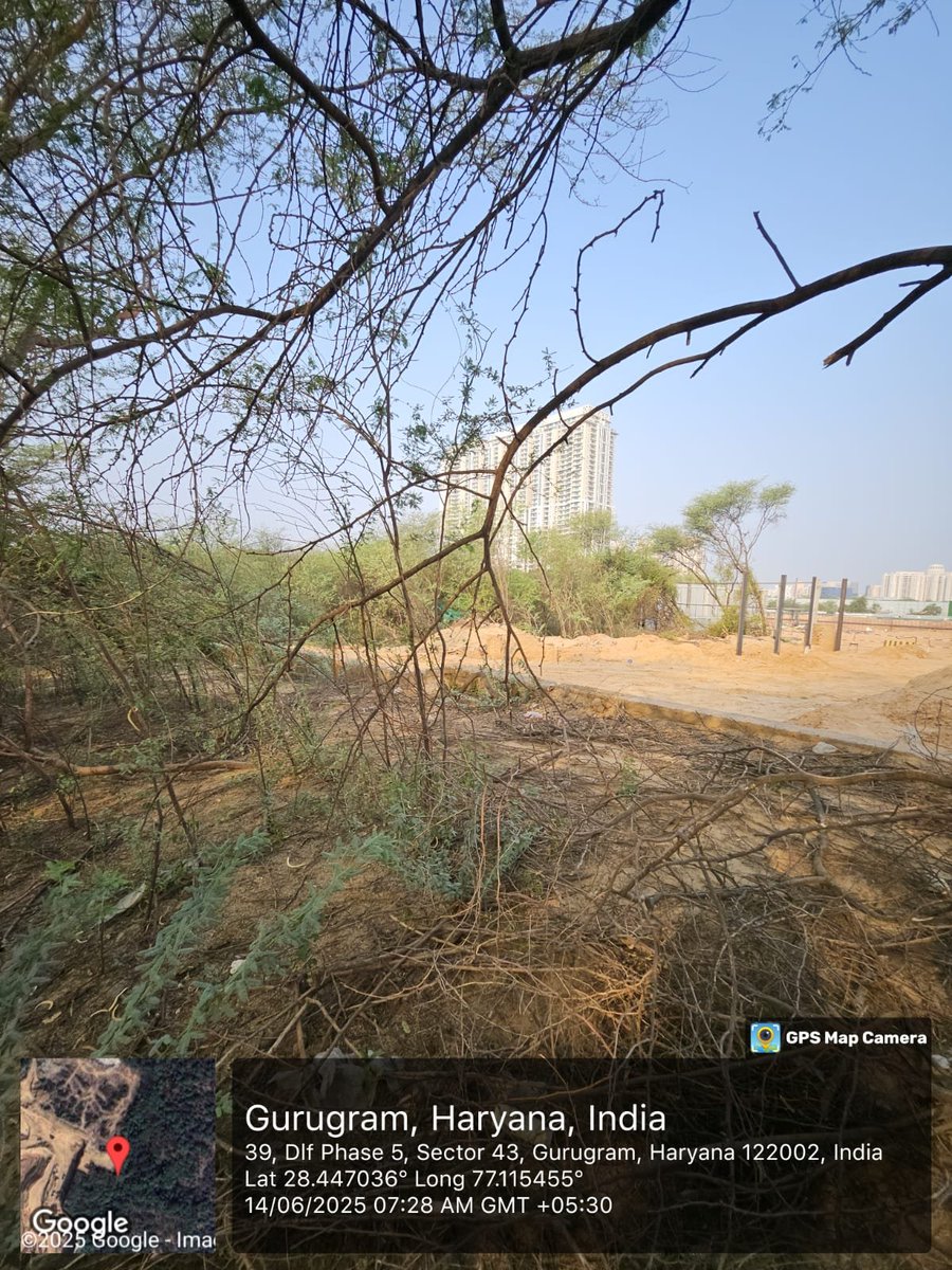 AravalliBachao's tweet image. Get inside d forest,kill it 2 build lxry Apts &amp;amp; sell them for crores,with &quot;view of the forest&quot;. Irony.Plan being facilitated by officials.Reason Y wtr sources r prpsly being dried.No water,no wildlife=no challenge 2 the plan. @cmohry @RaoNarbir