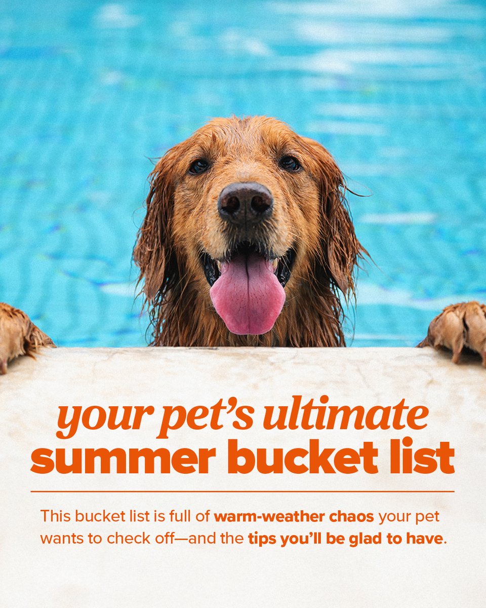 ASPCA Pet Insurance (@aspcapetins) on Twitter photo They’ve got the chaos covered this summer. You’ve got to keep up. 
Want the bucket list your pet would write (if they had thumbs)? Tap this link to fetch it now: bit.ly/3ZuclRG ☀️🐶 #PetSummerBucketList They’ve got the chaos covered this summer. You’ve got to keep up. 
Want the bucket list your pet would write (if they had thumbs)? Tap this link to fetch it now: bit.ly/3ZuclRG ☀️🐶 #PetSummerBucketList