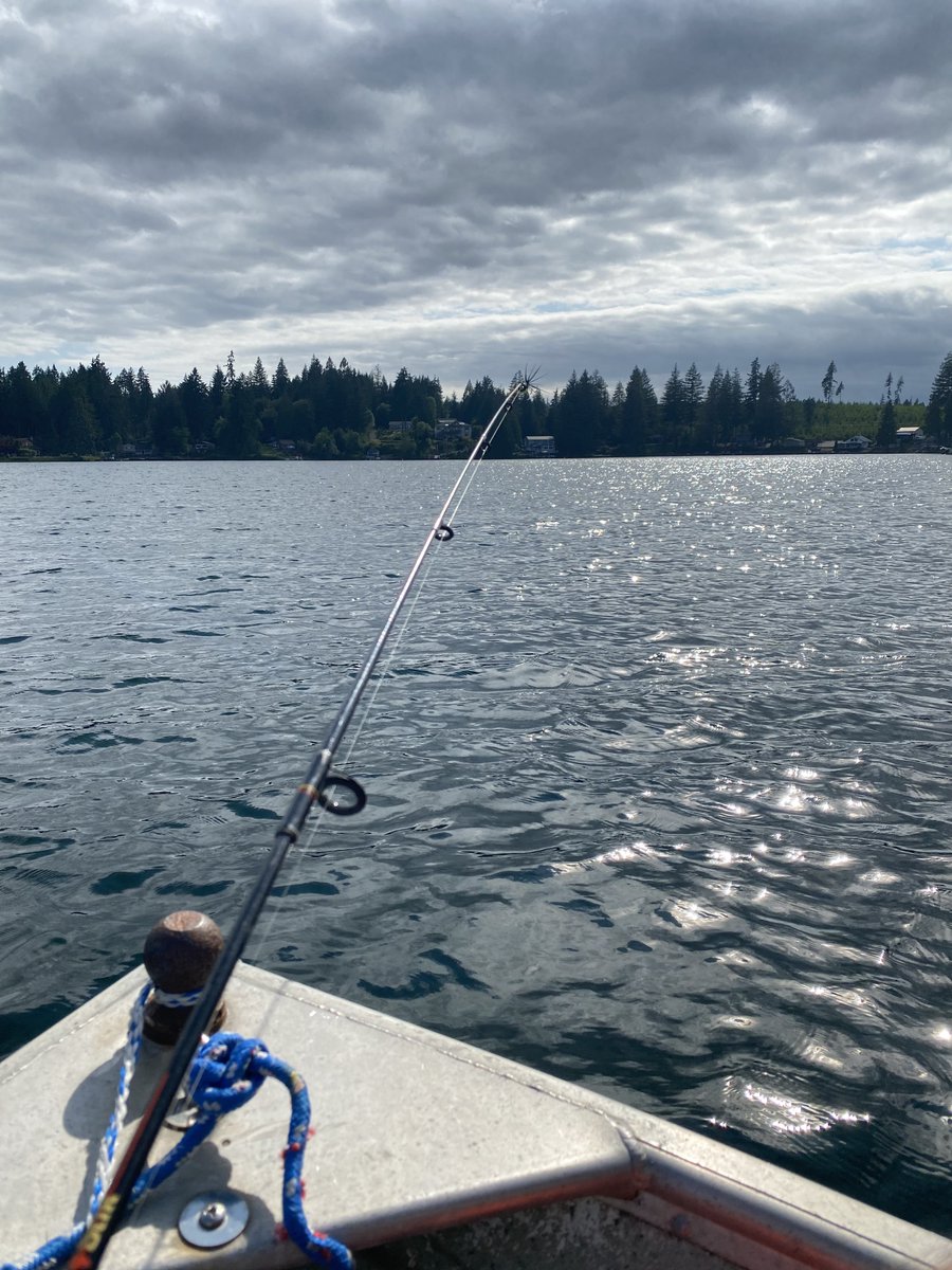 Finally got my boat in the water for the first time in almost 5 years 🤯

Hoping to spend more time out here.

When’s the last time you went fishing?