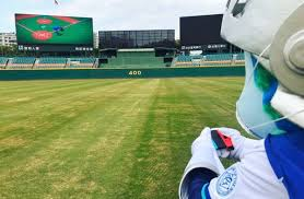 HhhQling's tweet photo. Terminate screens📵 Touch earth🔙 #openseatouchgrass https://t.co/HsDMFEtijL