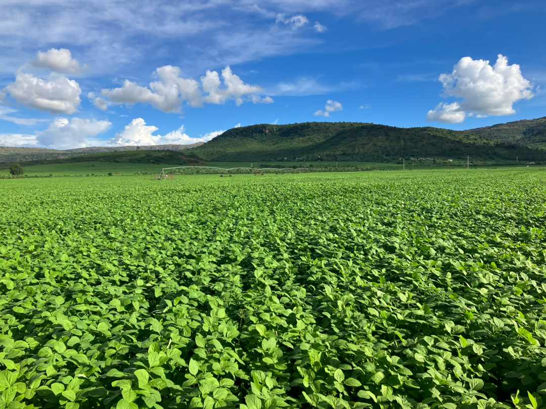 VisitKirehe's tweet image. Mechanized farming is no longer a dream in @KireheDistrict ! Farmers are now embracing agricultural machines to boost productivity and modernize their practices. Our commitment is to lasting prosperity and growth, Thank you H.E #PaulKagame🇷🇼❤️
#AgricultureInnovation
#VisitKirehe