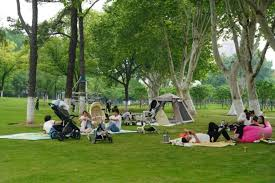 Escape metaverse🌳 Enter reality🔜 #openseatouchgrass