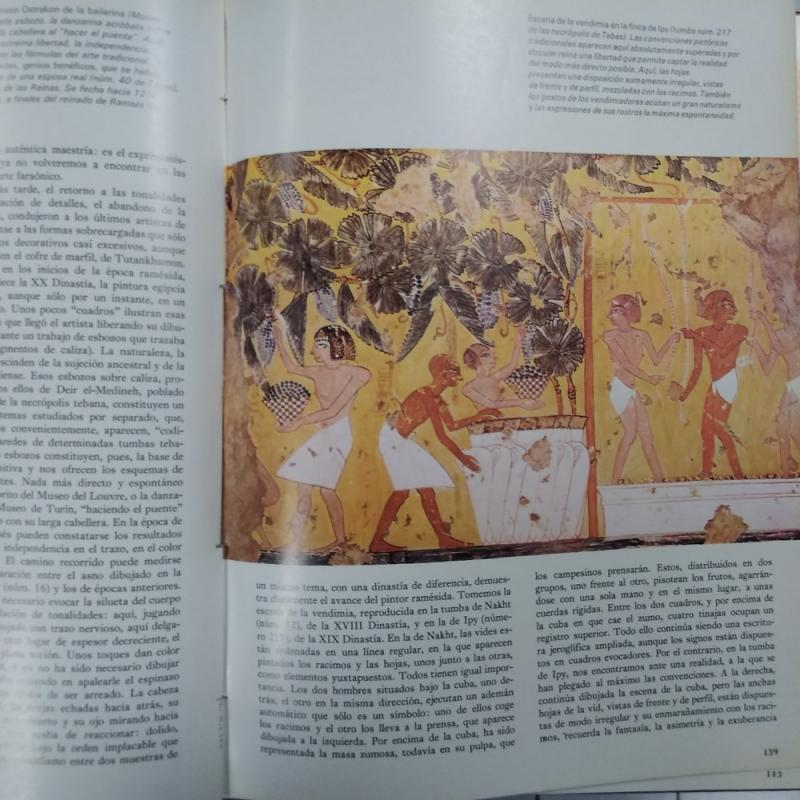 Historia del arte 1-10 (los diez tomos, obra completa) 
vvaa

Salvat, 1976

laviejafactoriadelibros.com/libro/230135-h…