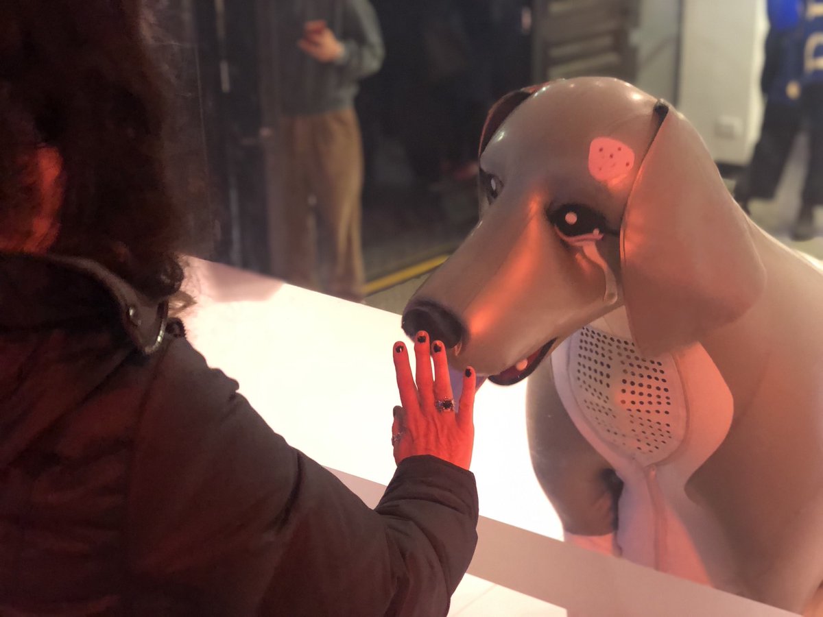 いよいよ本日最終日🐶
ラストドッグ始まりました！！

今夜は終わってからスタッフチームの皆でカラオケ
皆で大合唱します🎶