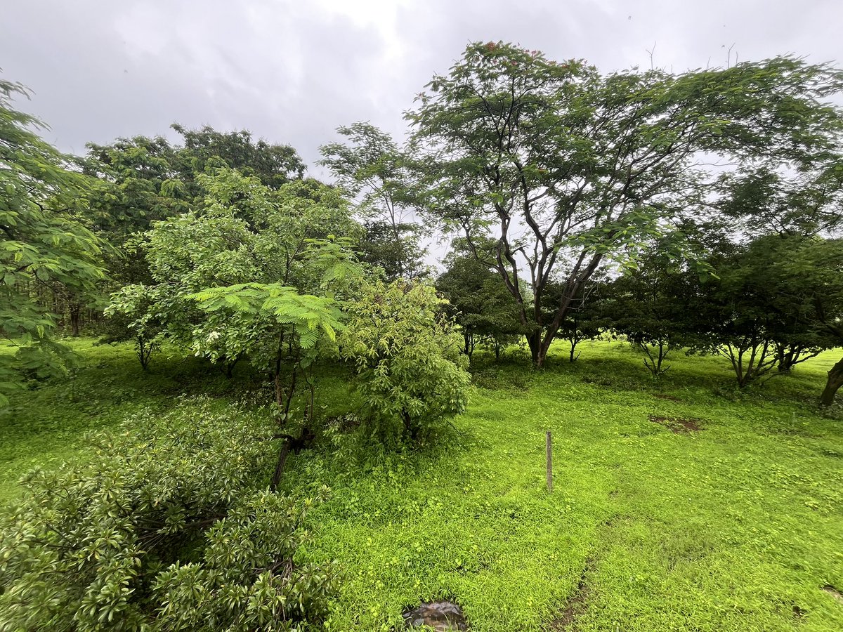 Anup Kumar Rai tweet media