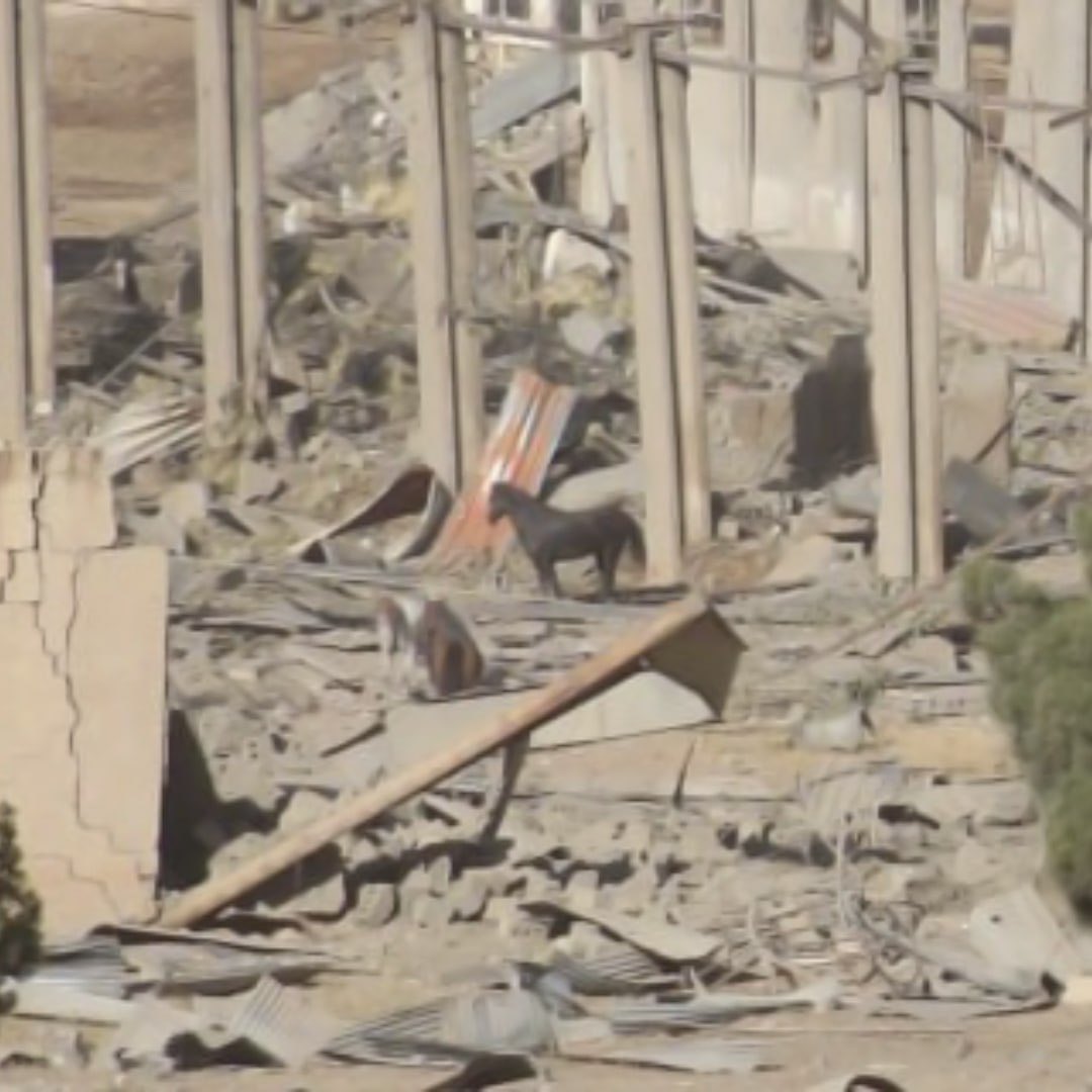 اصطبل اسب‌ها در کرمانشاه تأسیسات نظامی بود یا هسته‌ای؟