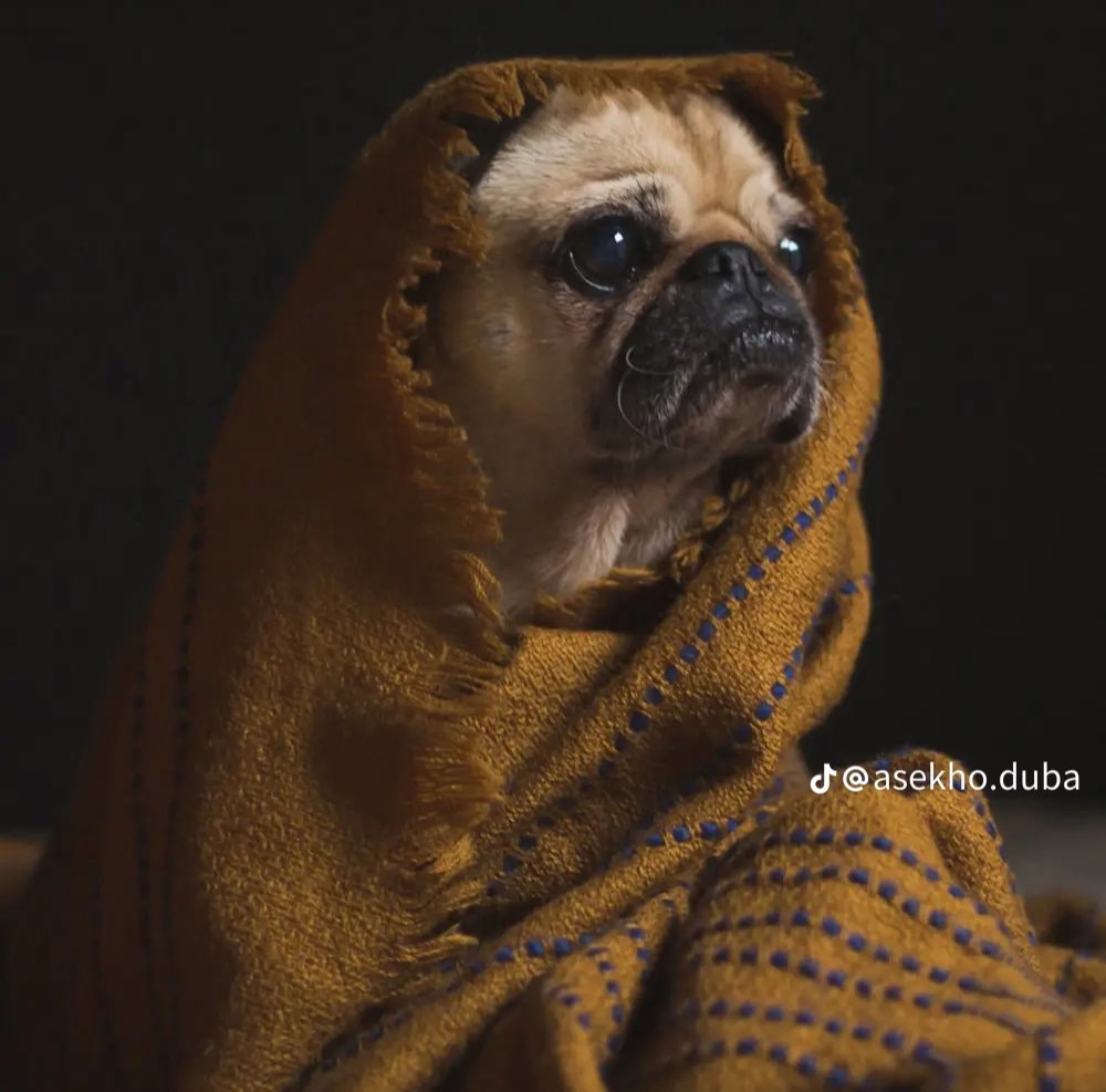 Thomasopy1's tweet image. when I asked for the signs, jah showed me a cocktail of red flags.