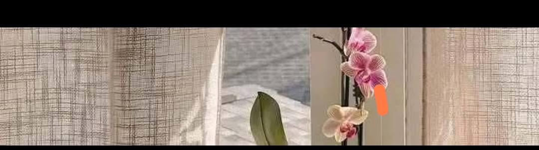 "آزاد کر دیجئے وہ خواہشیں جو صرف دکھ ہو
کر رہ جائیں"۔ 🎀
#محفل_سخن