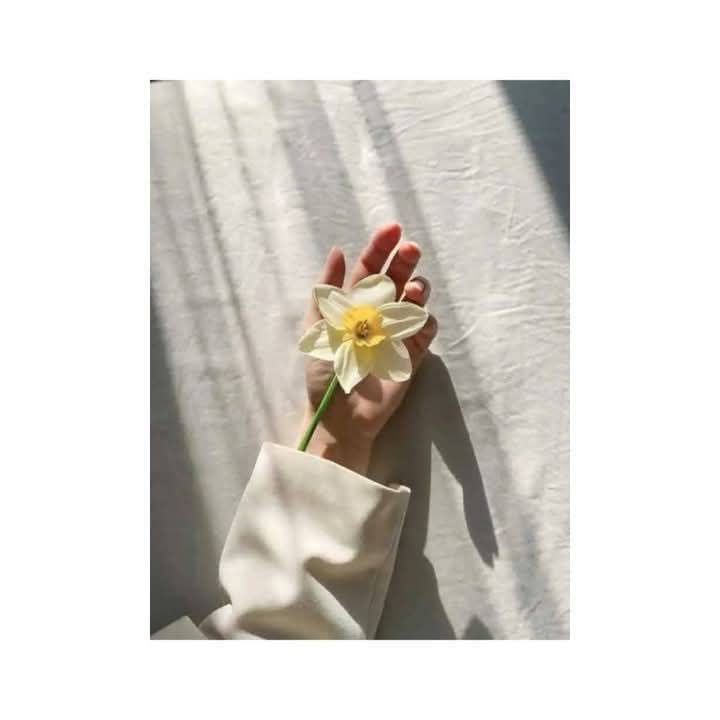 کبھی کبھی تو سب چھوڑ کر چھپ جانا چاہتی ہوں....!!🤍
#محفل_سخن