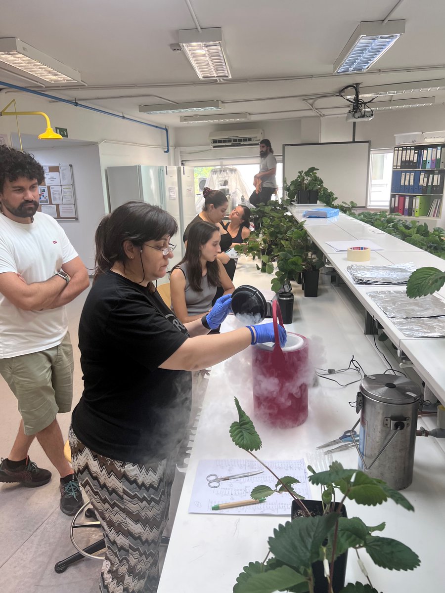 George Manganaris tweet media