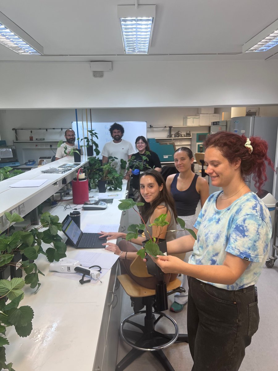 George Manganaris tweet media