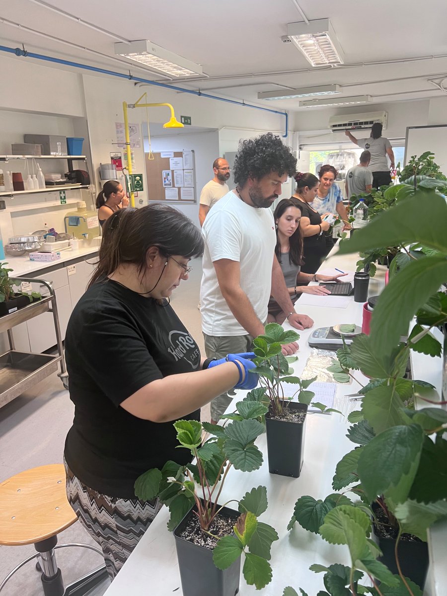 George Manganaris tweet media