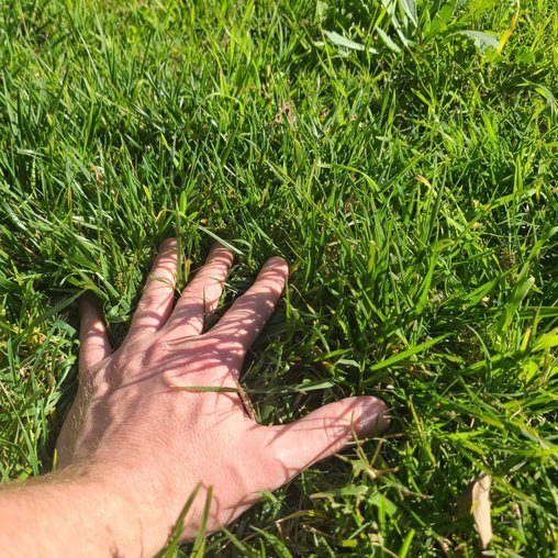 #openseatouchgrass touch air and grass