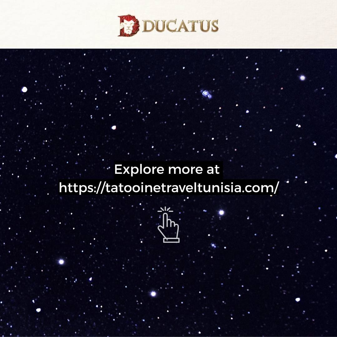 Ducatus Global tweet media