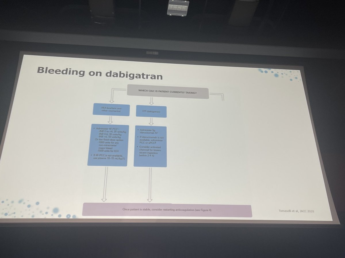 Mandy Lauw # EHA2025 Milan