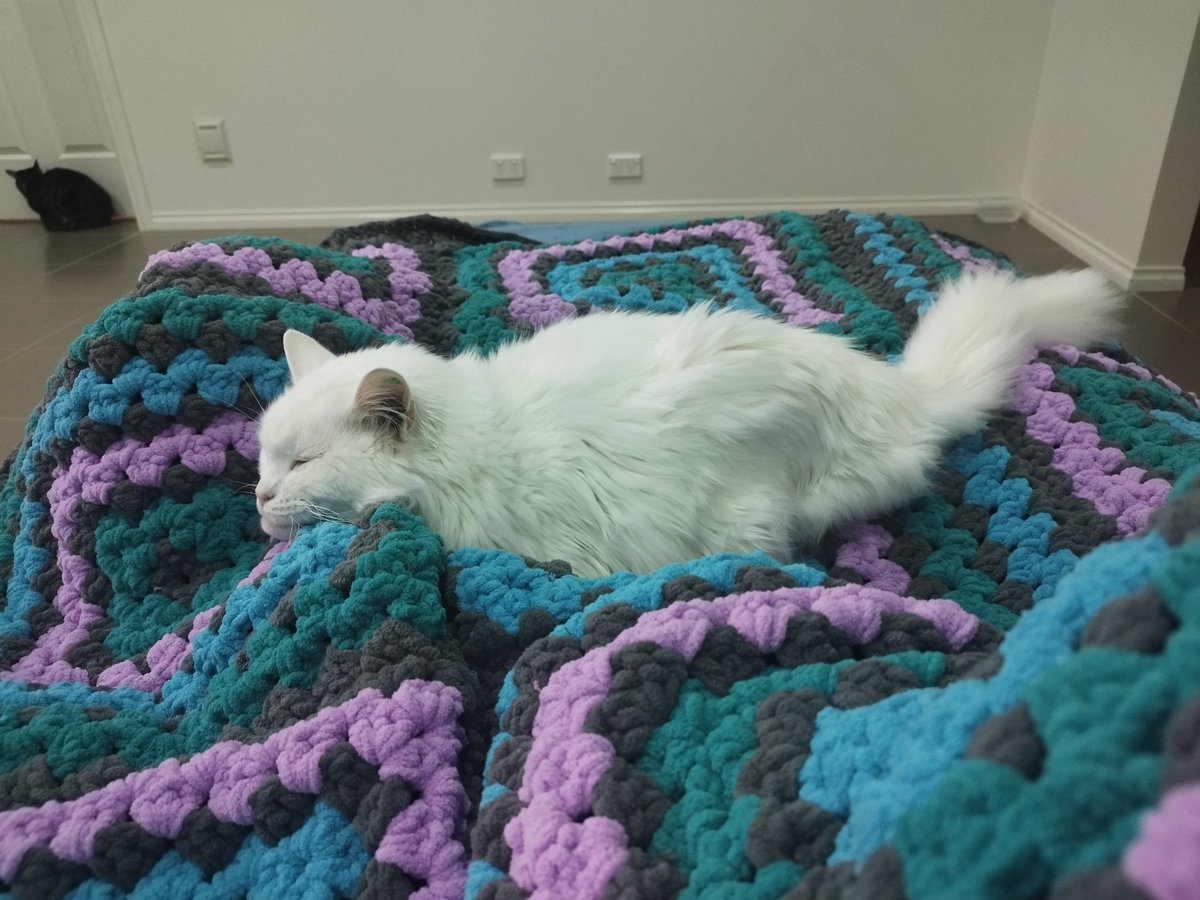 We take #SnoozySunday very seriously in this house 
💙Queen Jellybean