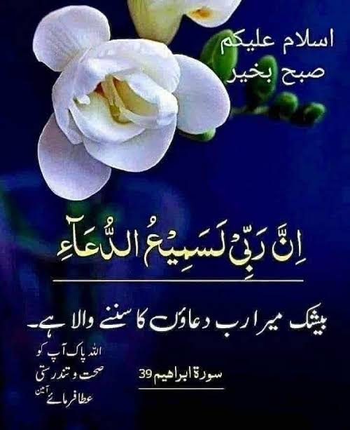 ShaziaMeo's tweet photo. السلام علیکم ورحمۃ اللہ وبرکاتہ 
صبح بخیر زندگی https://t.co/ewTmtEtUw0