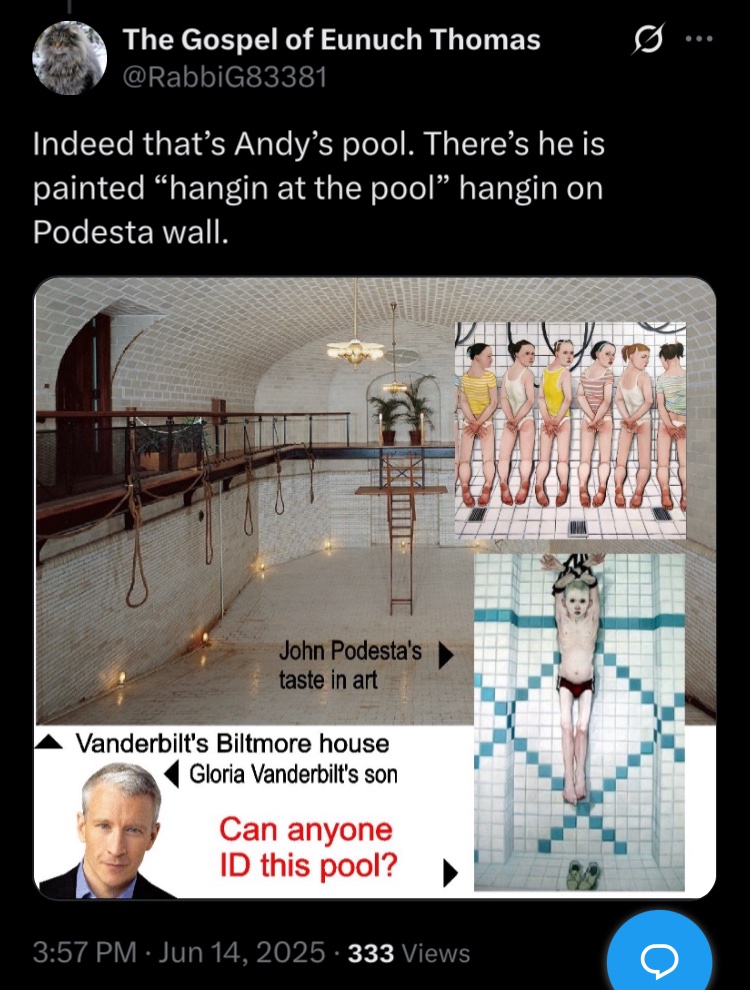 Cicada Ultra tweet media