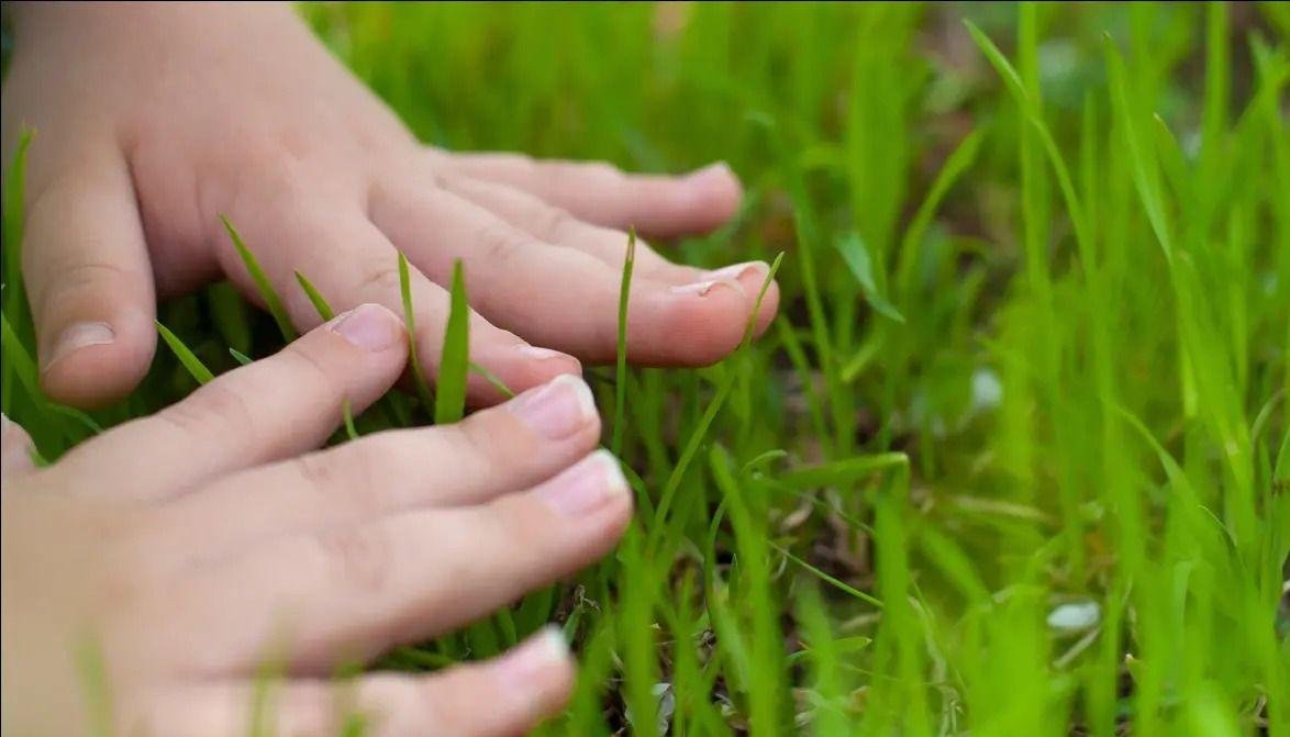 gm <a href="/opensea/">OpenSea</a>
have a pleasant day. #openseatouchgrass